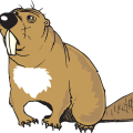 beaver-46239_640