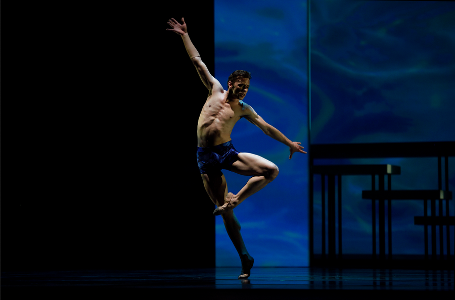 Taras Domitro in Possokhov's Swimmer