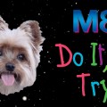 maxresdefault