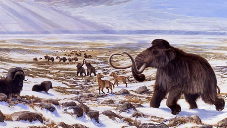 How low did it go? Scientists calculate Earth's Ice Age temperatures | CBC News