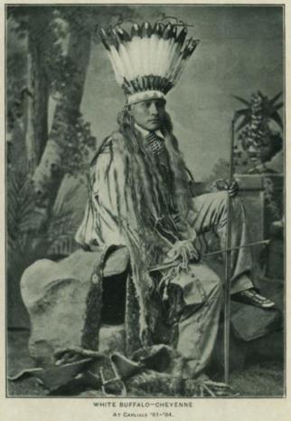 White Buffalo, Cheyenne, before Carlisle (c. 1881)