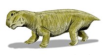 Lystrosaurus - Wikipedia