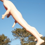 FREE WILLY