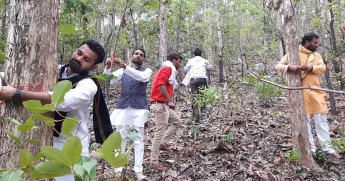 Reason behind why goverment approve cutting almost 2.5 Lacks Trees at buxwaha Forest.