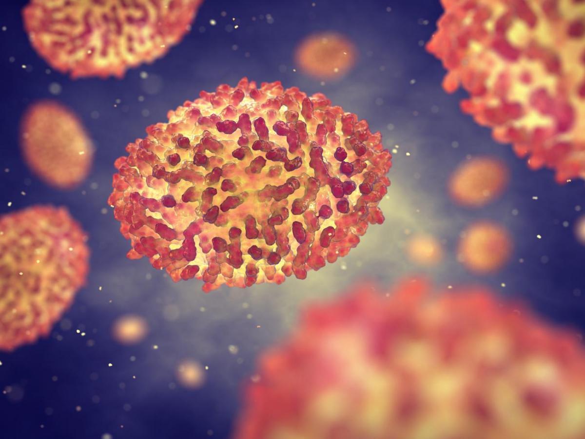 Will MONKEYPOX Become The New Pandemic? CDC Warns The Globe