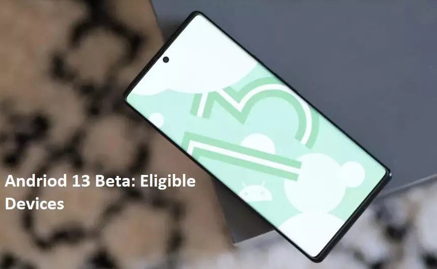 Android 13 Beta Devices