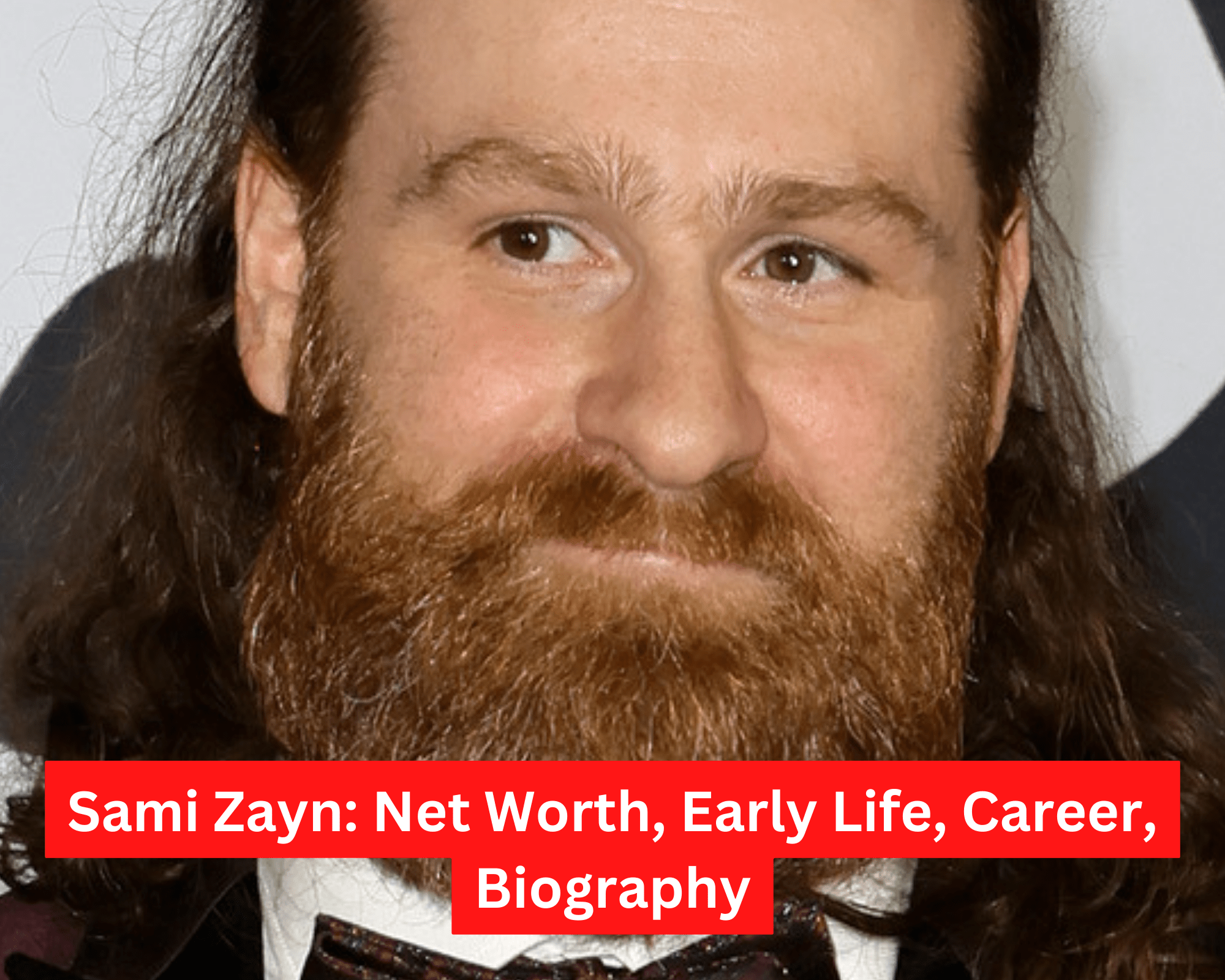Sami Zayn Net Work, Early life and biography