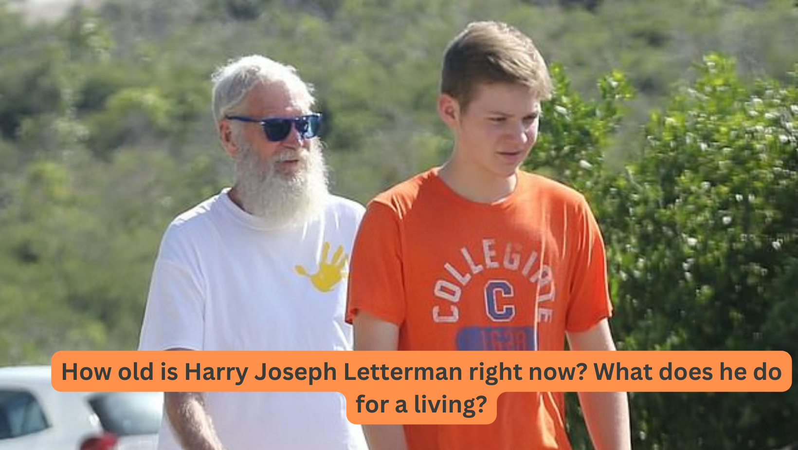 All the details about Harry Joseph Letterman
