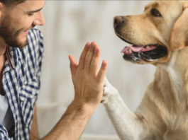 8 New Year’s Resolutions for Your Dog