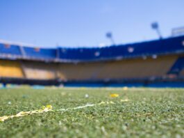 A picture containing grass, sky, outdoor, field Description automatically generated