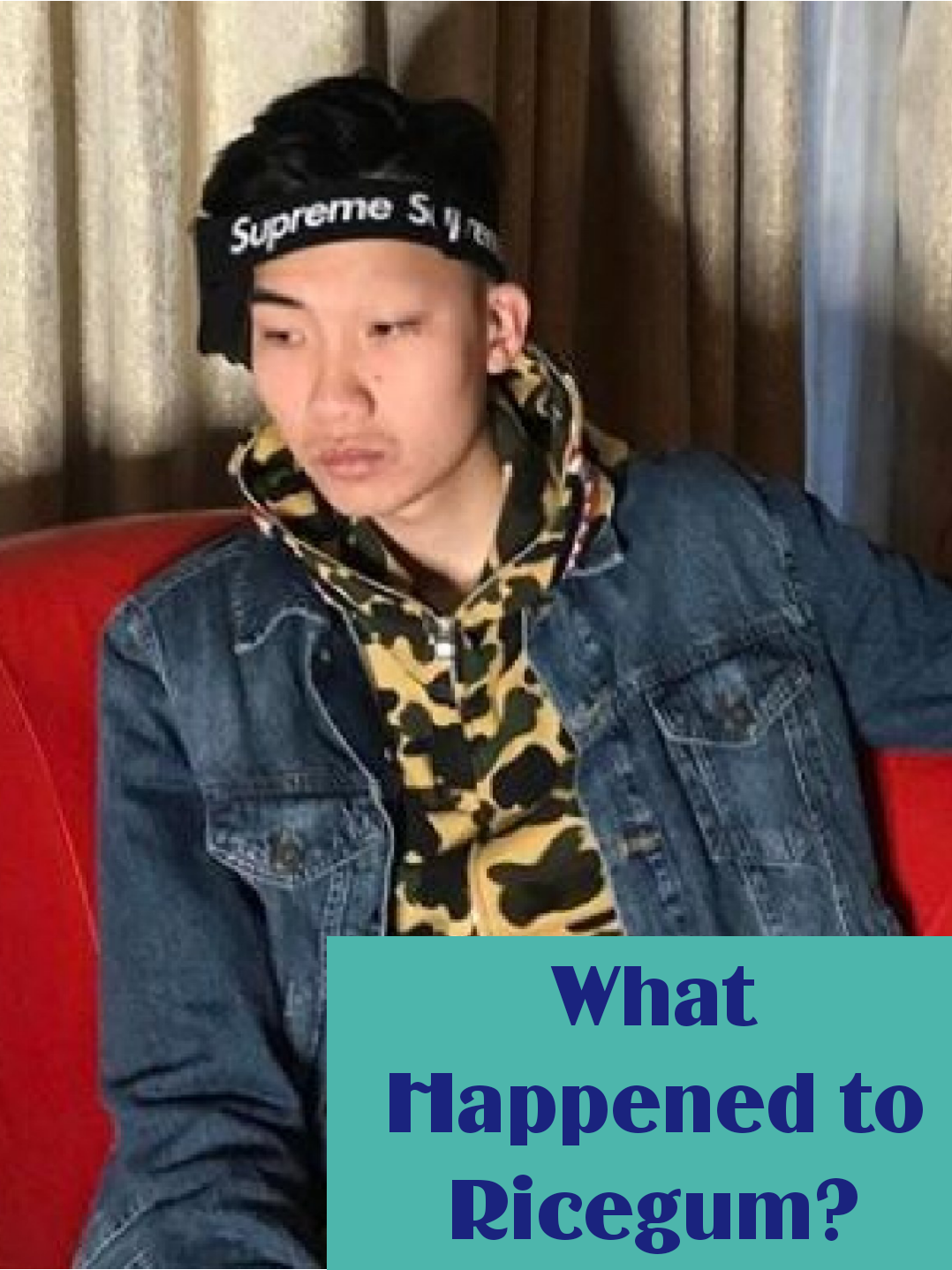 What Happened to Ricegum? Where is The Youtuber Now? Stanford Arts Review